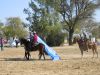 reiten-namibia-90.jpg