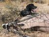 Filename=team-namibia-26.jpg
Filesize=492KB
Dimensions=1600x1200
Date added=Feb 27, 2008 team-namibia-26.jpg