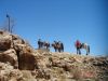 0430_Trail_Namibia_384_WEB.JPG