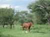 DSC04246_WEB.JPG