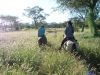DSC05274_WEB.JPG
