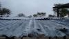 DSC05441.JPG
