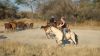DSC05696.JPG