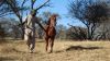 DSC05839.JPG