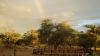 DSC06995~0.JPG