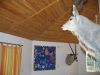 IMG_4759.JPG