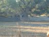 k-22Dec09_049.jpg