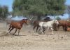 k-DSC03716.JPG