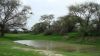 k-DSC04965.JPG