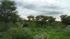k-DSC05010.JPG