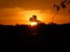 k-DSC_0238.JPG