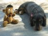 k-IMG_3836.JPG