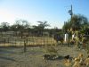 k-IMG_4924.JPG