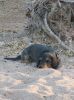 k-Namibia_06_10_07-21_10_07_0208.jpg