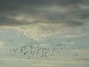 k-P1000189.JPG