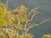k-P1000440.JPG