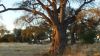 k-P1010092.JPG