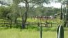 k-P1030413.JPG