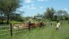 k-P1030540.JPG