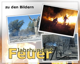 Fotoreportage