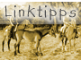 Linktipps rund um Gross-Okanjou