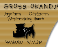 Logo Gross-Okandjou