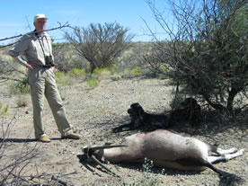 Neuigkeiten Reiten Jagen Urlaub in Namibia