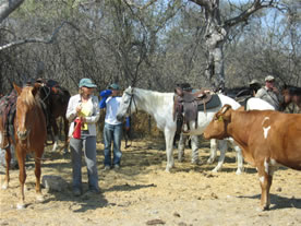 New November Namibia