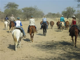 New November Namibia