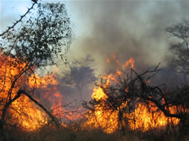 New November Namibia