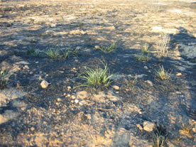 New November Namibia