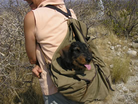 New November Namibia